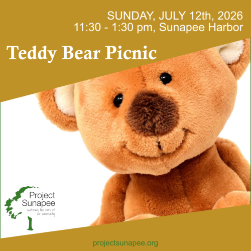 Teddy Bear Picnic